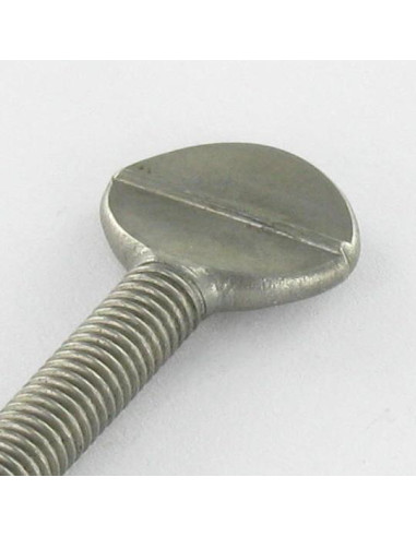 1 x Tornillo VIOLÍN M8X40 Inoxidable A2