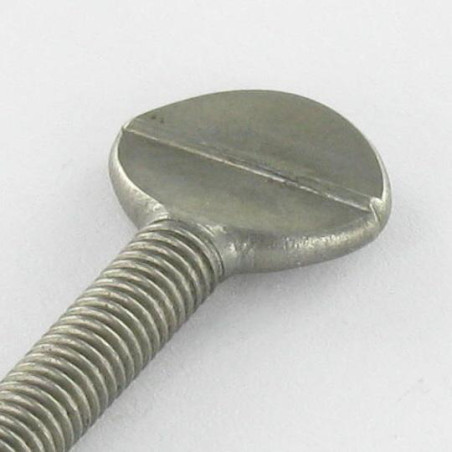 1 x Tornillo VIOLÍN M8X40 Inoxidable A2