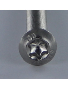 Tornillo metales cabeza abombada TORX T25 M5X14 roscado... 2