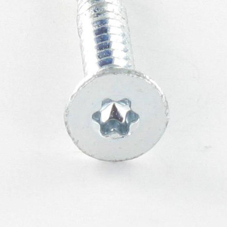 1 x Tornillo autoperforante Bimetal cabeza fresada/testa svasat dentado TORX T25 5.5X50