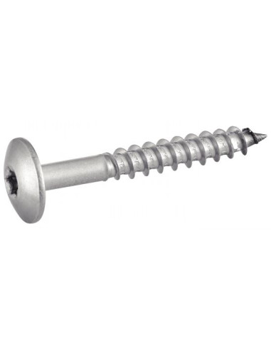 1 x Tornillo de fachada TORX T20 5.5X45...