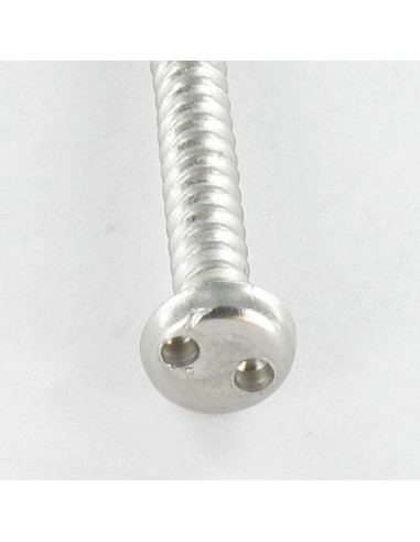 1 x Tornillo chapa Seguridad cabeza cilíndrica...