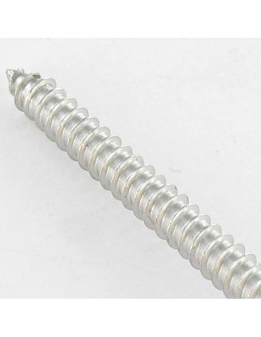 1 x Tornillo chapa Seguridad cabeza cilíndrica...