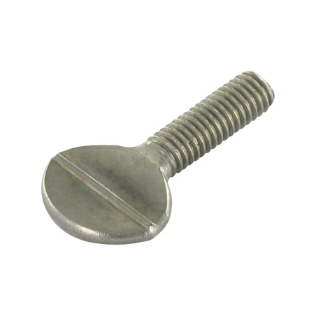 1 x Tornillo VIOLÍN M5X30 Inoxidable A2