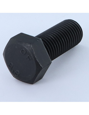 1 x Tornillo metales cabeza hexagonal M27X60...