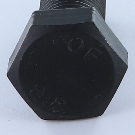 1 x Tornillo metales cabeza hexagonal M27X60 Clase 8.8 Acero bruto
