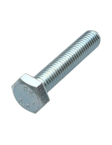 1 x Tornillo metales cabeza hexagonal M10X55...