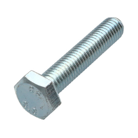 1 x Tornillo metales cabeza hexagonal M10X55 Clase 8.8 Acero cincado blanco