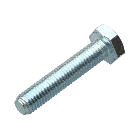 1 x Tornillo metales cabeza hexagonal M10X55 Clase 8.8 Acero cincado blanco