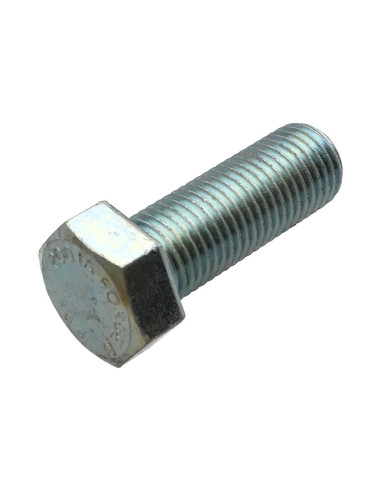 1 x Tornillo metales cabeza hexagonal M24X50...