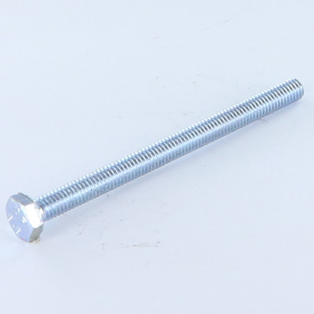 1 x Tornillo metales cabeza hexagonal M10X70 Clase 8.8 Acero cincado blanco