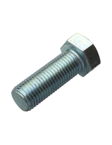 1 x Tornillo metales cabeza hexagonal M22X50...