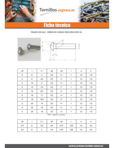 Remache macizo cabeza redonda Inoxidable A2 6X22 2