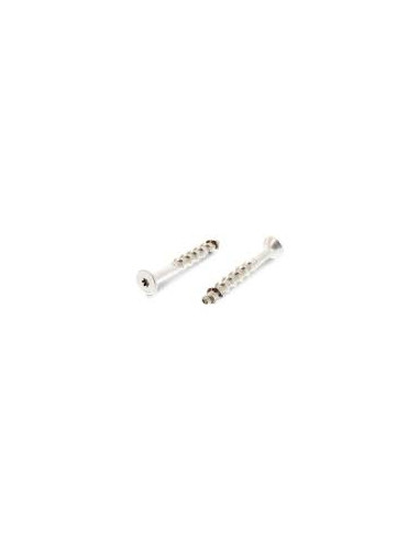 1 x Tornillo hormigón cabeza fresada TORX T40...