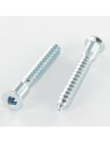 1 x Tornillo autotaladrante confirmat cabeza...