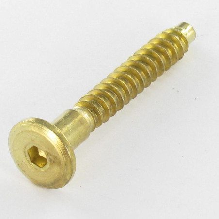 1 x Tornillo autotaladrante confirmat cabeza redonda ancha hexagonal hueco 7X50 Acero latonado