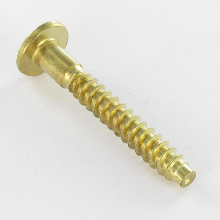 1 x Tornillo autotaladrante confirmat cabeza redonda ancha hexagonal hueco 7X50 Acero latonado