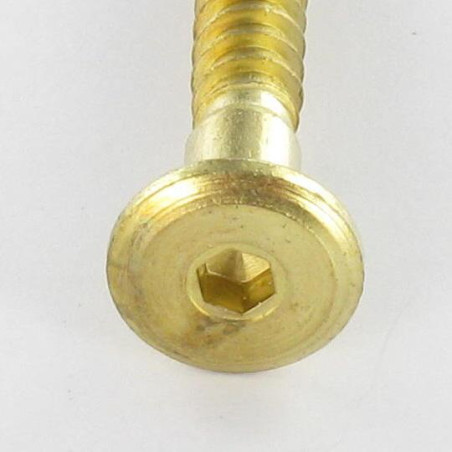 1 x Tornillo autotaladrante confirmat cabeza redonda ancha hexagonal hueco 7X50 Acero latonado