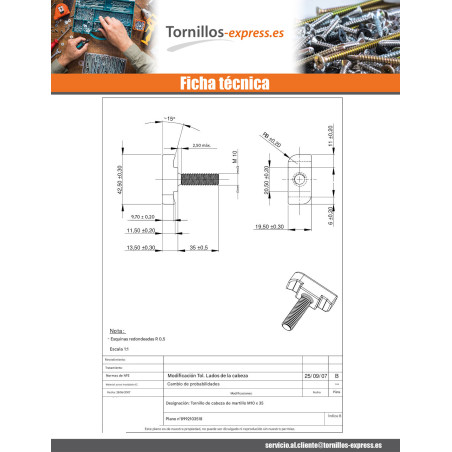 1 x Tornillo metales cabeza martillo M10X35 Inox
