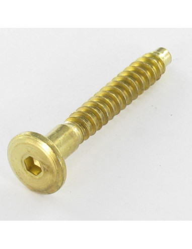 1 x Tornillo autotaladrante confirmat cabeza...