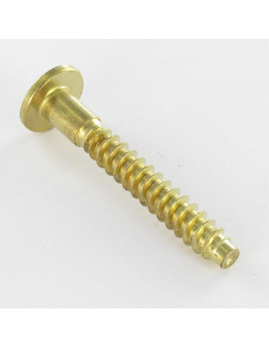 1 x Tornillo autotaladrante confirmat cabeza...