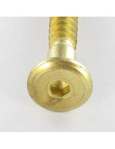 1 x Tornillo autotaladrante confirmat cabeza...