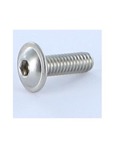 1 x Tornillo metales Cabeza Abombada con Hueco...