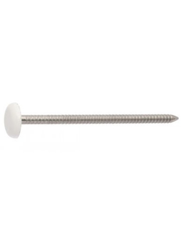 1 x Punta ANILLADO cabeza PLASTIFICADO 2.1X30...