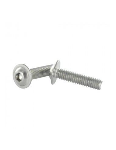 1 x Tornillo metales Cabeza Abombada con Hueco...