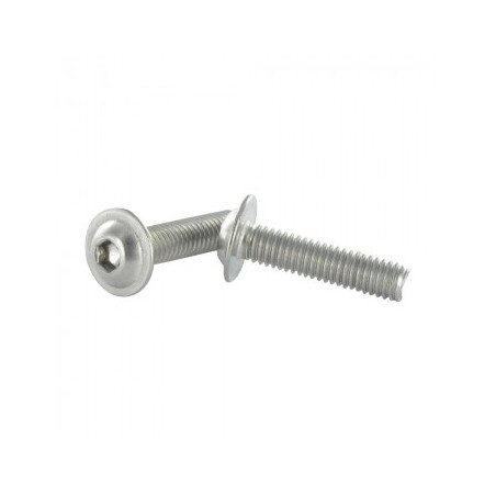 1 x Tornillo metales Cabeza Abombada con Hueco hexagonal resalto reborde M6X50 llave de 4 Inoxidable A4