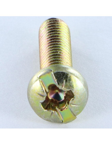 1 x Tornillo metales cabeza cilíndrica abombada...