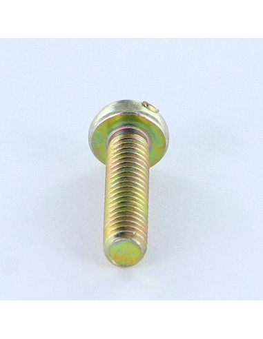 1 x Tornillo metales cabeza cilíndrica abombada...