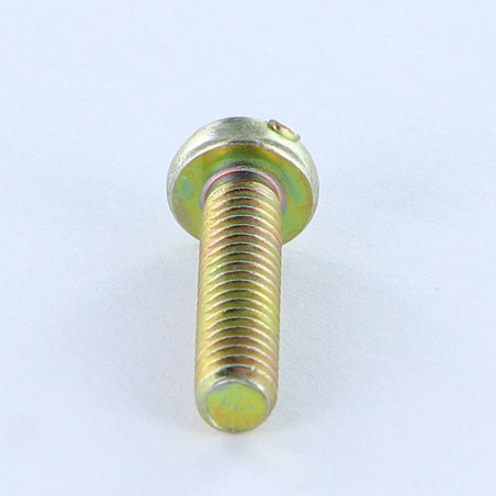 1 x Tornillo metales cabeza cilíndrica abombada Pozi ranura M4X16 diámetro de cabeza: 7 Bicromato