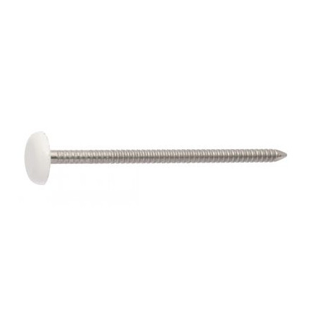 1 x Punta ANILLADO cabeza PLASTIFICADO 2.5X50 Inoxidable A4