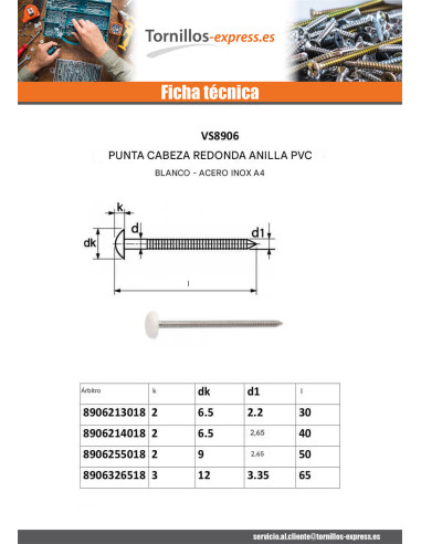 1 x Punta ANILLADO cabeza PLASTIFICADO 2.5X50...