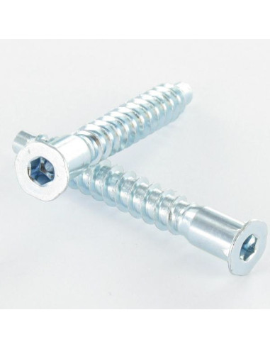 1 x Tornillo autotaladrante confirmat cabeza...