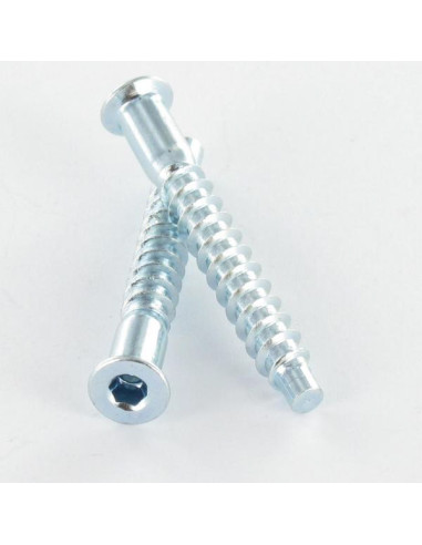 1 x Tornillo autotaladrante confirmat cabeza...