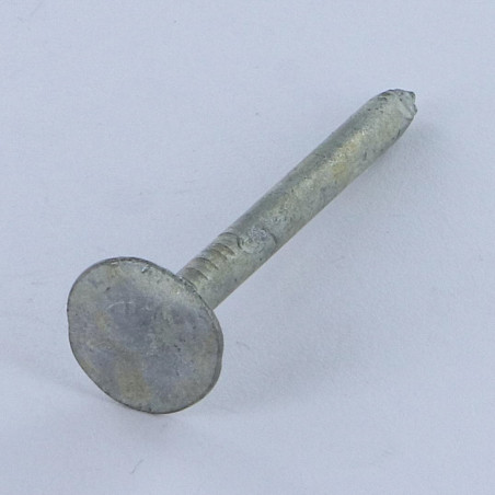 1 x Kg de puntas PIZARRA cabeza extra ancha 3.5X50 diámetro de cabeza: 13.5 fuerte resistencia a la corrosión Acero