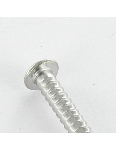1 x Kg de puntas Inoxidable A4 cabeza redonda...