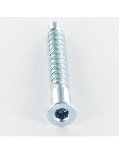1 x Tornillo autotaladrante confirmat cabeza...