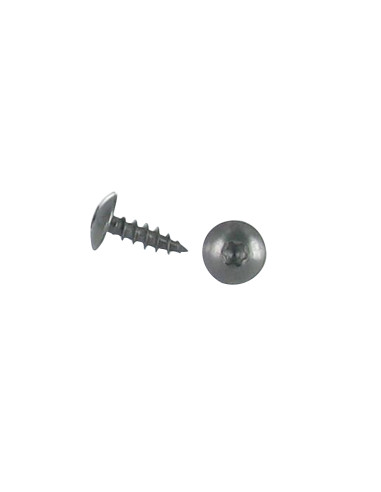 1 x Tornillo pernio 6X20 roscado total TORX T30...