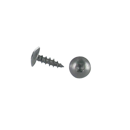 1 x Tornillo pernio 6X20 roscado total TORX T30 Inoxidable A2 Negro