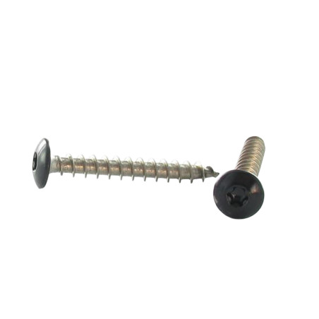 1 x Tornillo pernio 6X50 roscado en 38 TORX T30 Inoxidable A2 lacado negro RAL9005 negro intenso