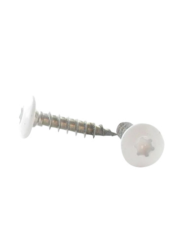 1 x Tornillo pernio 7X40 roscado en 38 TORX T30...