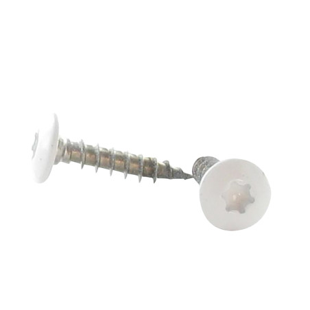 1 x Tornillo pernio 7X40 roscado en 38 TORX T30 Inoxidable A2 RAL9010 blanco puro 80% BRILLI