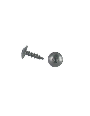 1 x Tornillo pernio 6X30 roscado total TORX T30...