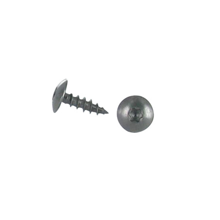 1 x Tornillo pernio 6X30 roscado total TORX T30 Inoxidable A2 Negro