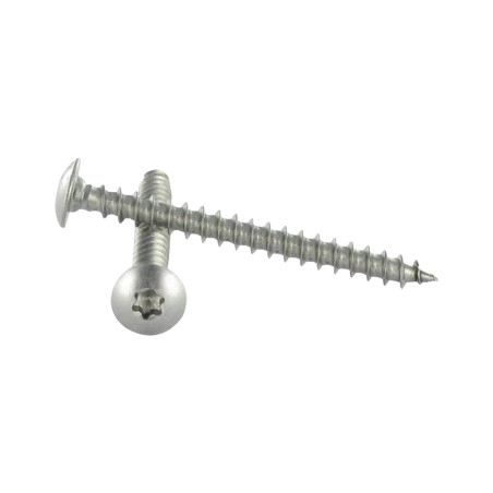 1 x Tornillo pernio 7X70 roscado en 54 TORX T30 Inoxidable A2