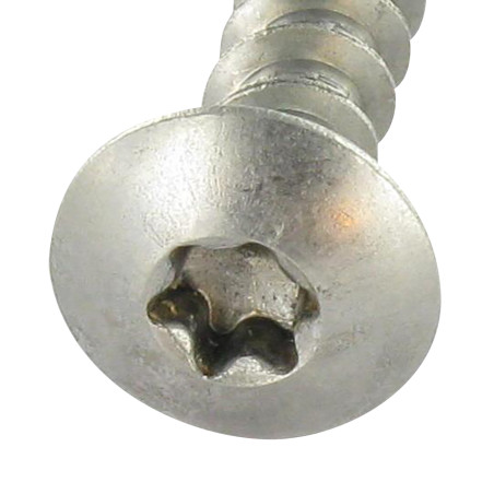 1 x Tornillo pernio 6X45 roscado en 38 TORX T30 Inoxidable A2