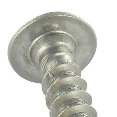 1 x Tornillo pernio 7X50 roscado total TORX T30 Inoxidable A2